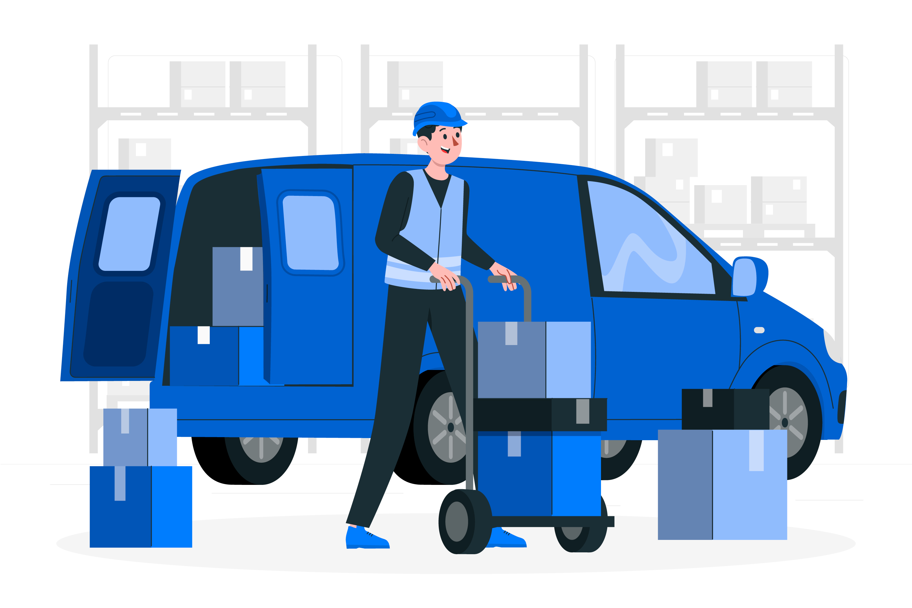 Livraison Professionnelle